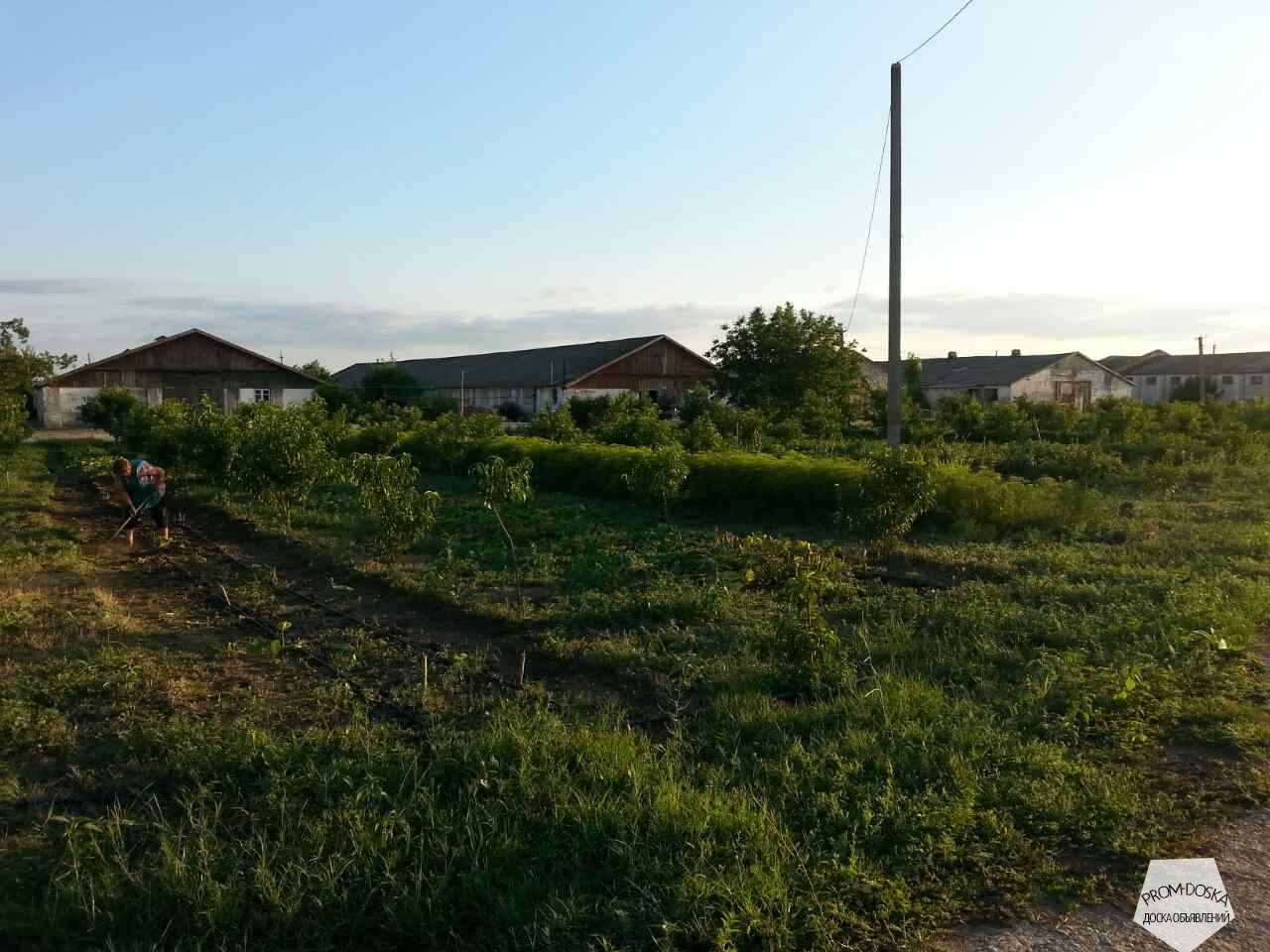 Ищем людей для работы в сельском хозяйстве