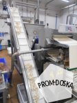 Пельменная линия Dominioni RSA 540