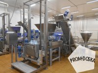 Пельменная линия Dominioni RSA 540